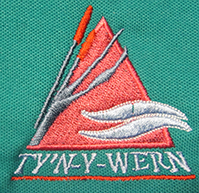 Tyn Y Wern Primary School
